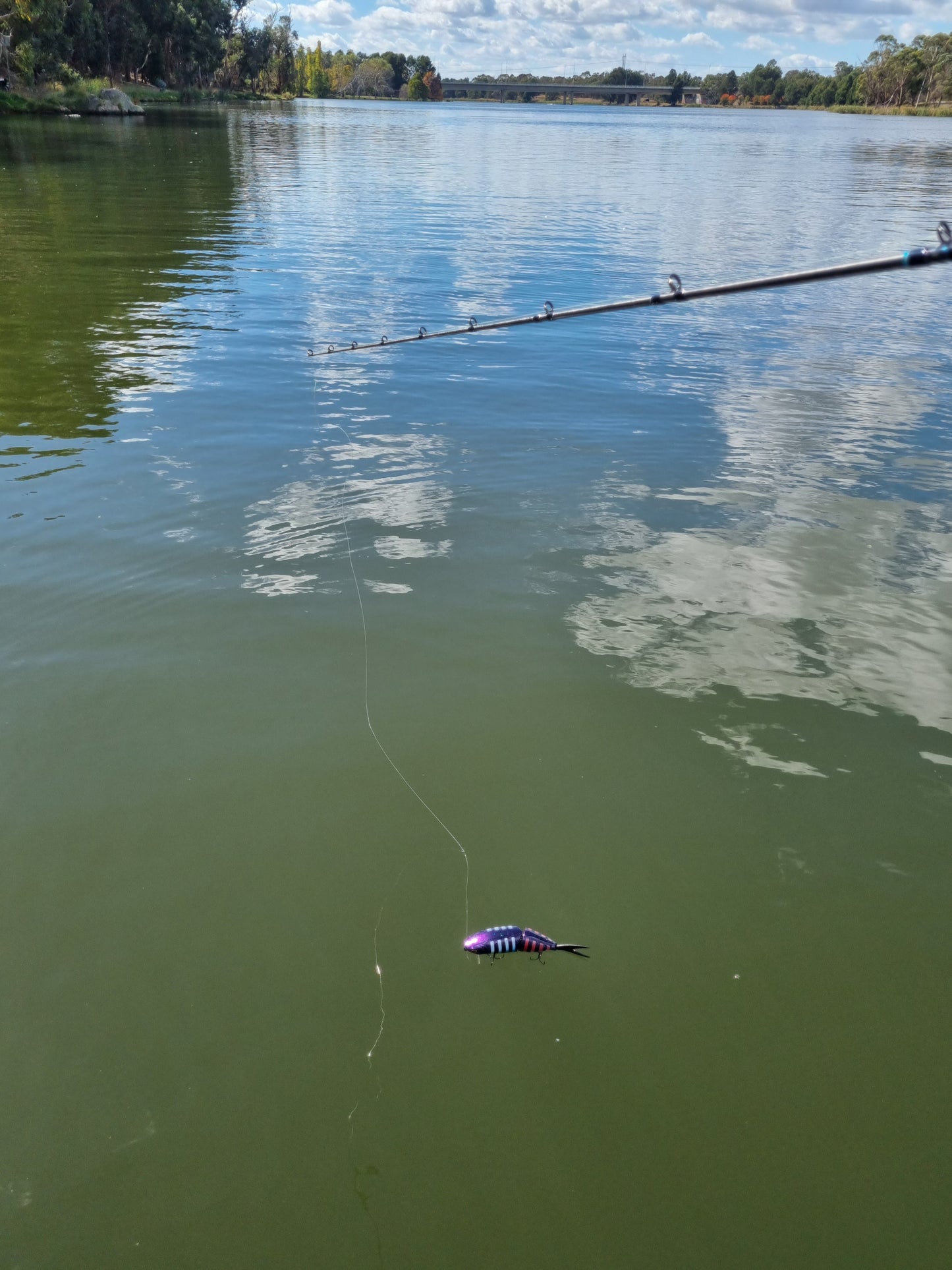 Chunky Monkey Surface/Wake Bait | 200mm, 88g