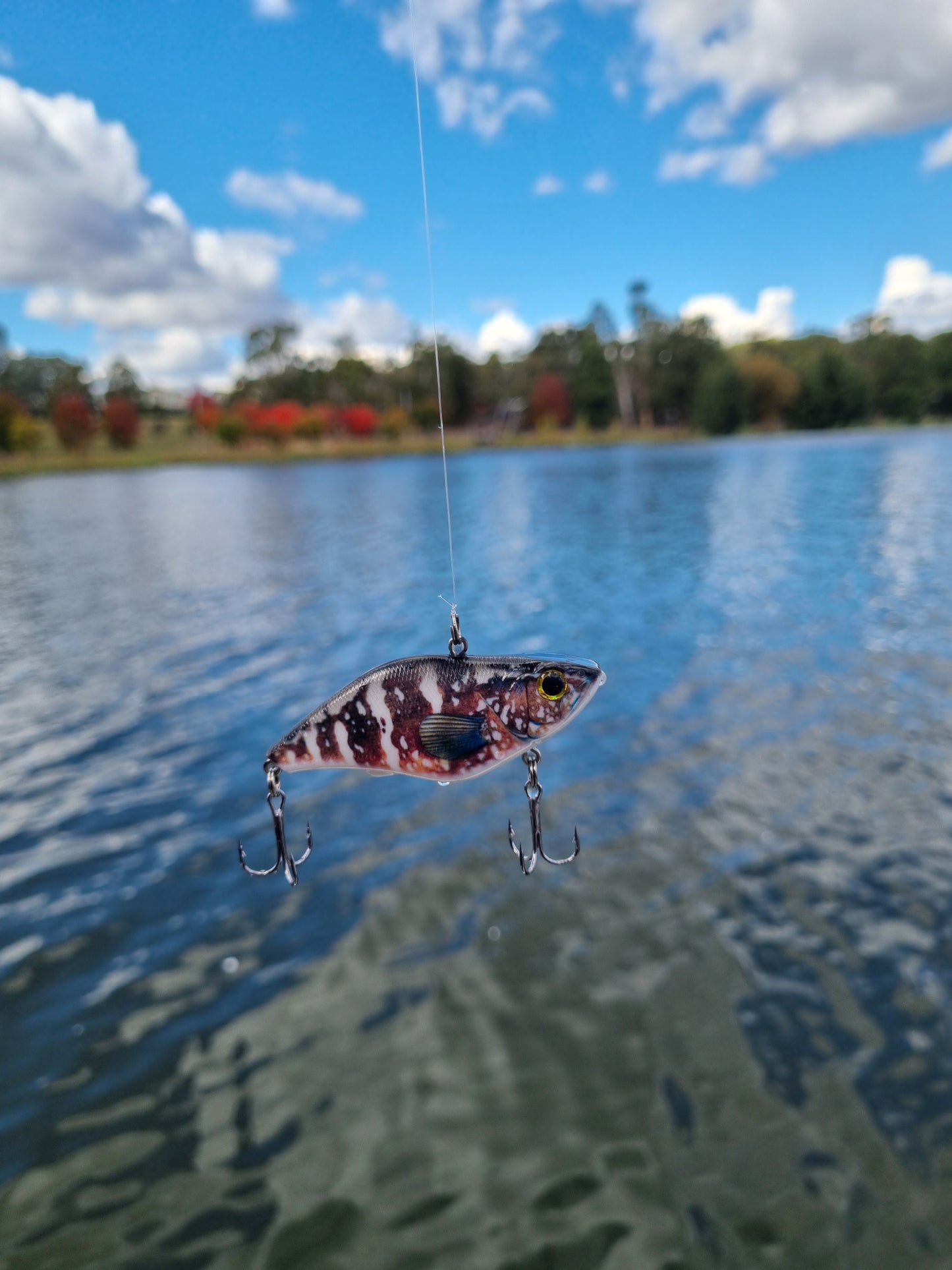 Urban Bite Bibless Minnow | 70mm, 16g